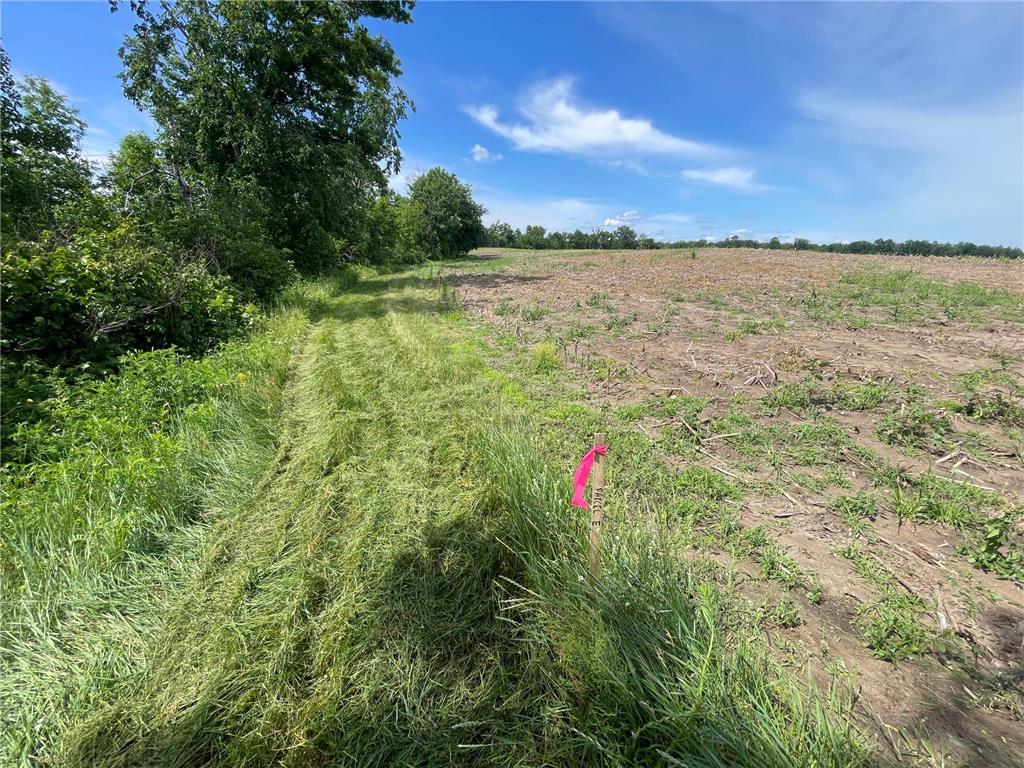 TBD Boot Lake Road SW Grant Valley Twp MN 56601 7105987 image35