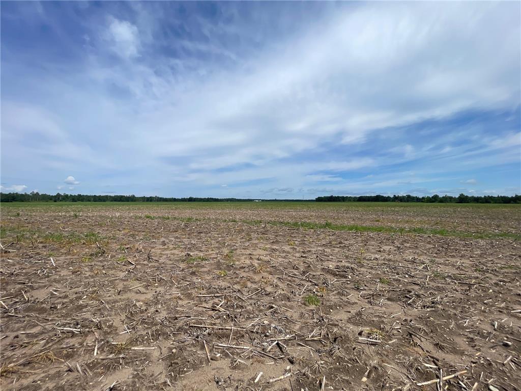 TBD Boot Lake Road SW Grant Valley Twp MN 56601 7105987 image37