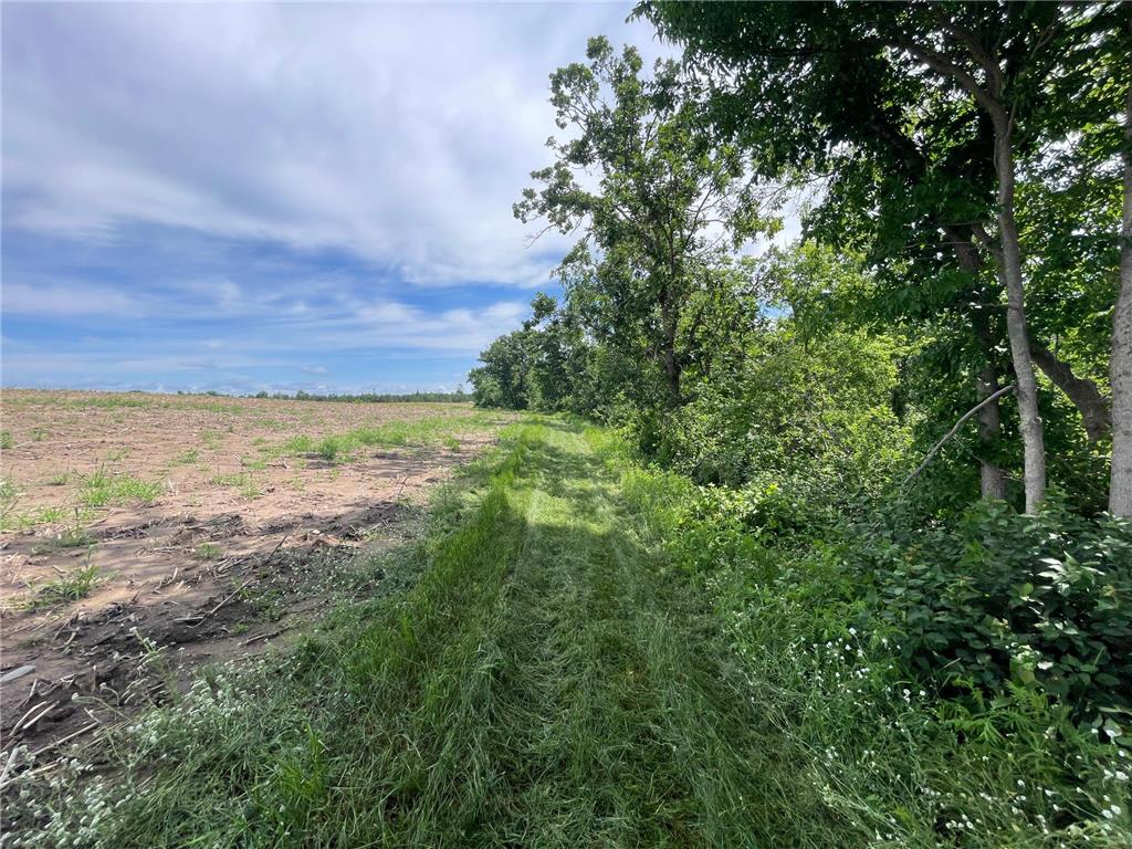 TBD Boot Lake Road SW Grant Valley Twp MN 56601 7105987 image39