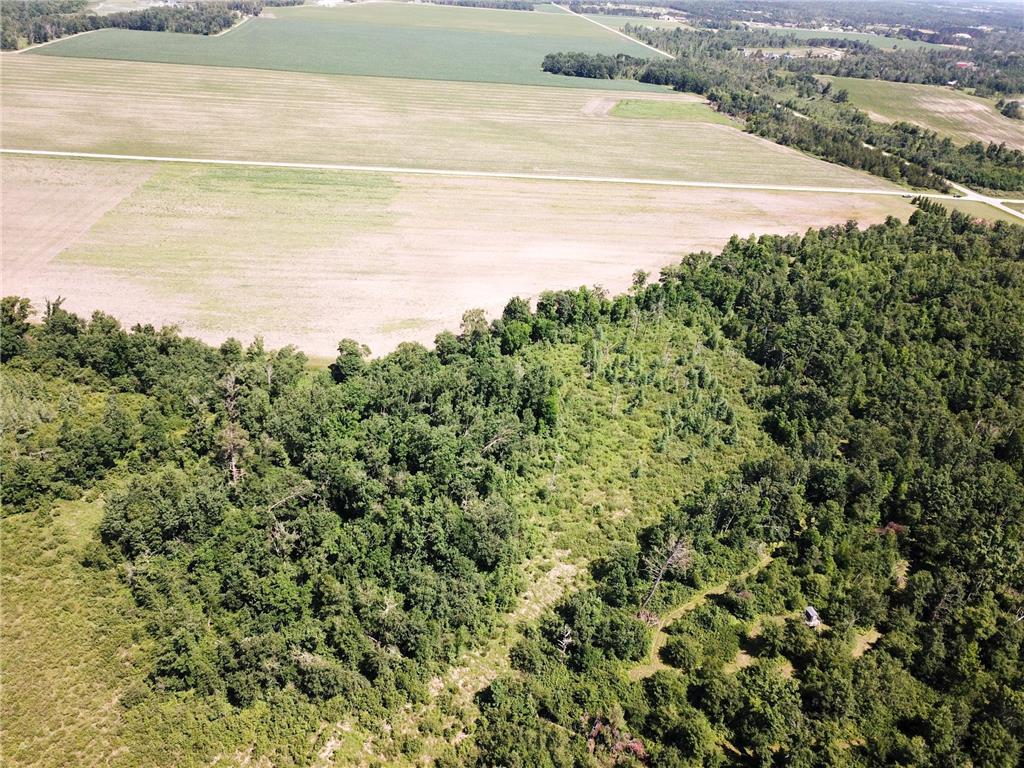 TBD Boot Lake Road SW Grant Valley Twp MN 56601 7105987 image4