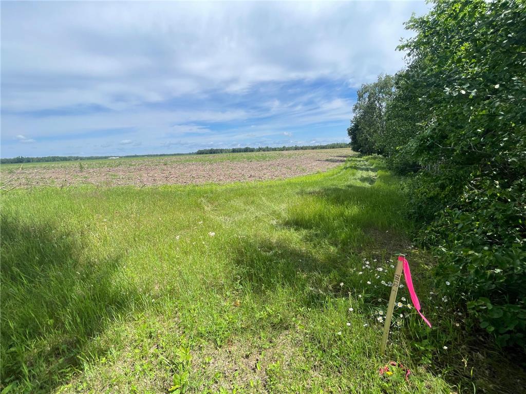 TBD Boot Lake Road SW Grant Valley Twp MN 56601 7105987 image43