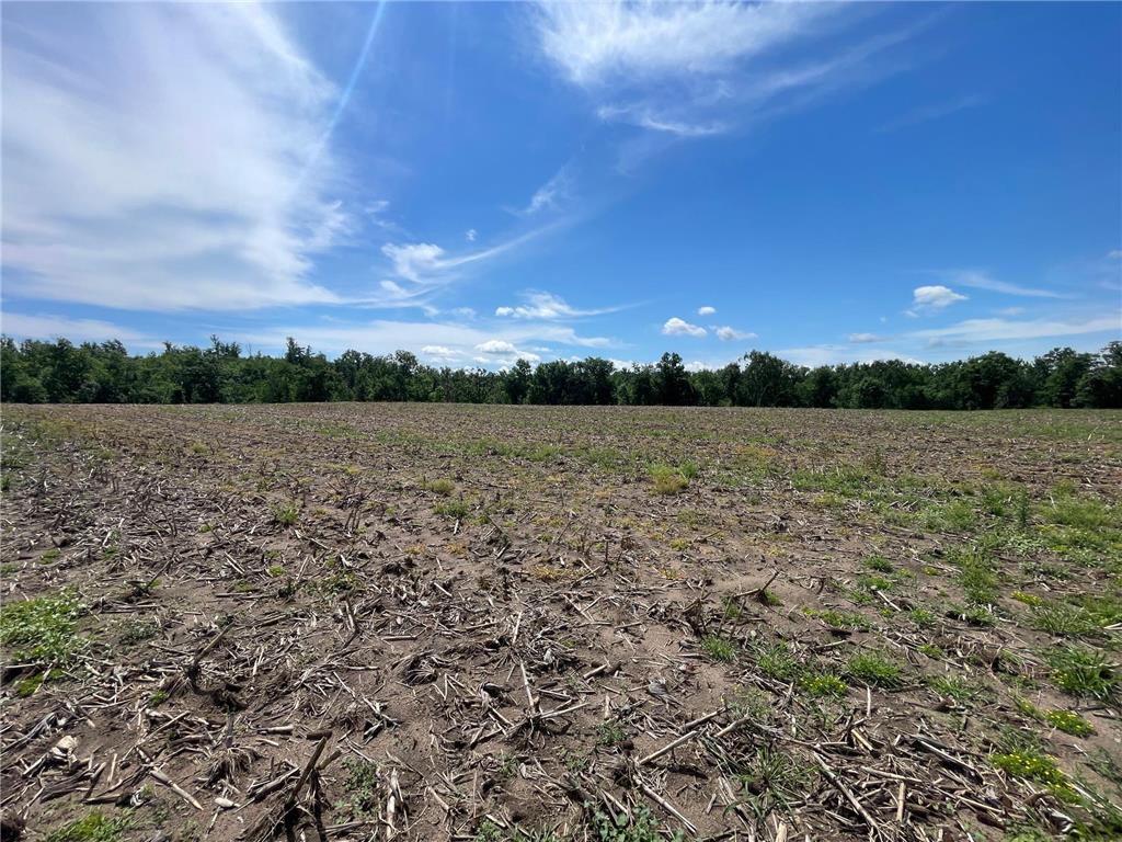TBD Boot Lake Road SW Grant Valley Twp MN 56601 7105987 image44