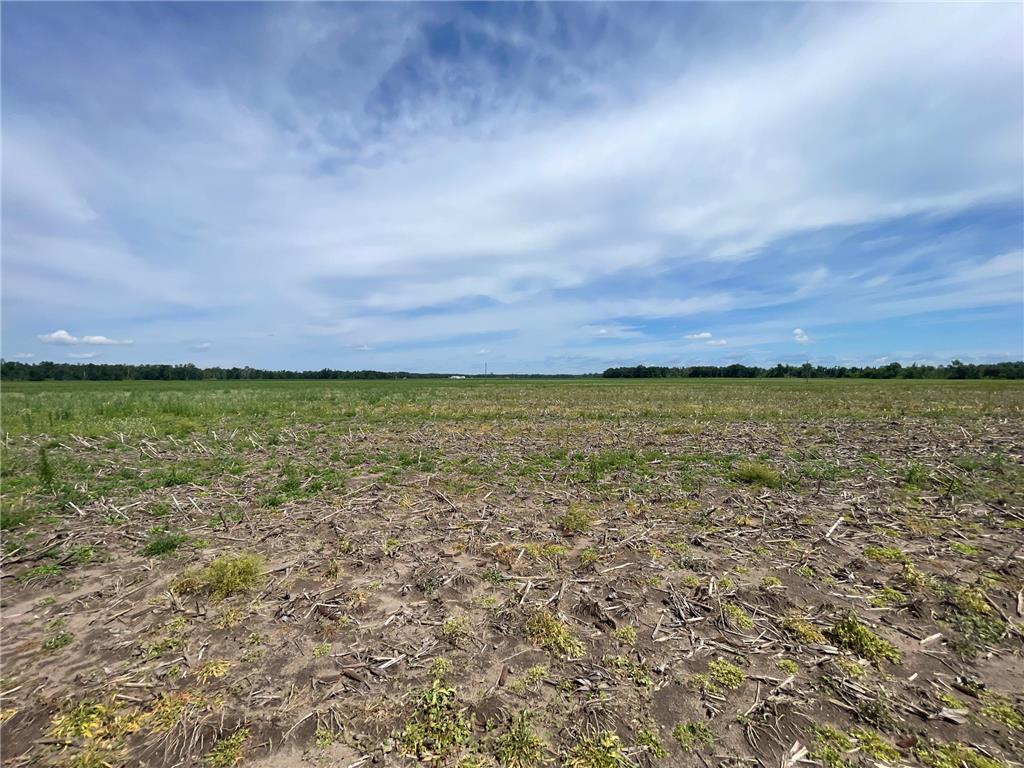 TBD Boot Lake Road SW Grant Valley Twp MN 56601 7105987 image45