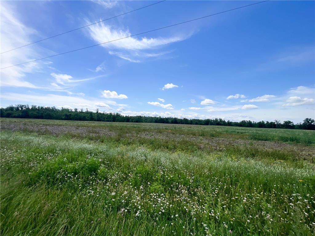 TBD Boot Lake Road SW Grant Valley Twp MN 56601 7105987 image47