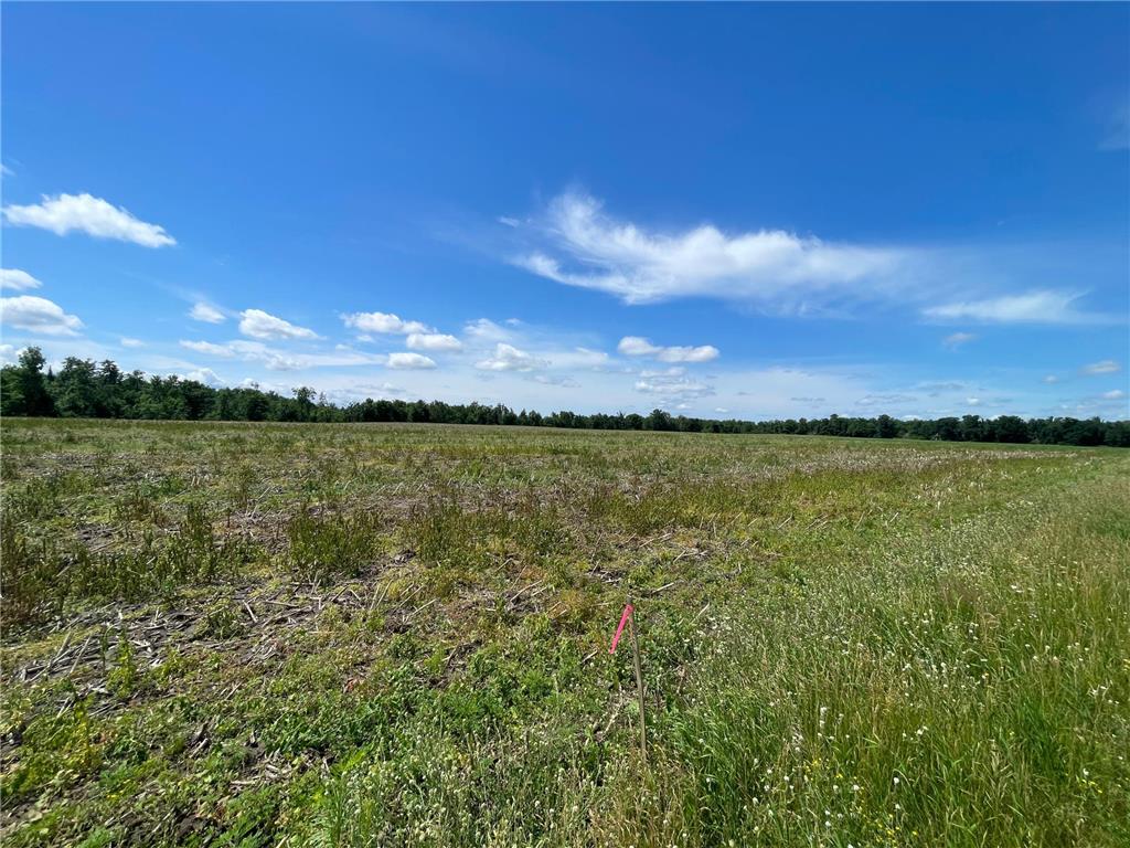TBD Boot Lake Road SW Grant Valley Twp MN 56601 7105987 image48