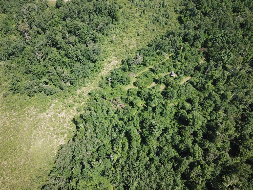 TBD Boot Lake Road SW Grant Valley Twp MN 56601 7105987 image7
