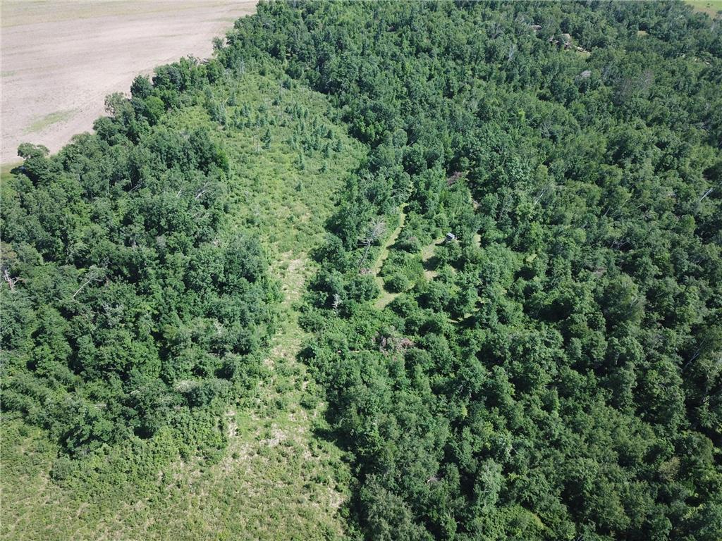 TBD Boot Lake Road SW Grant Valley Twp MN 56601 7105987 image8