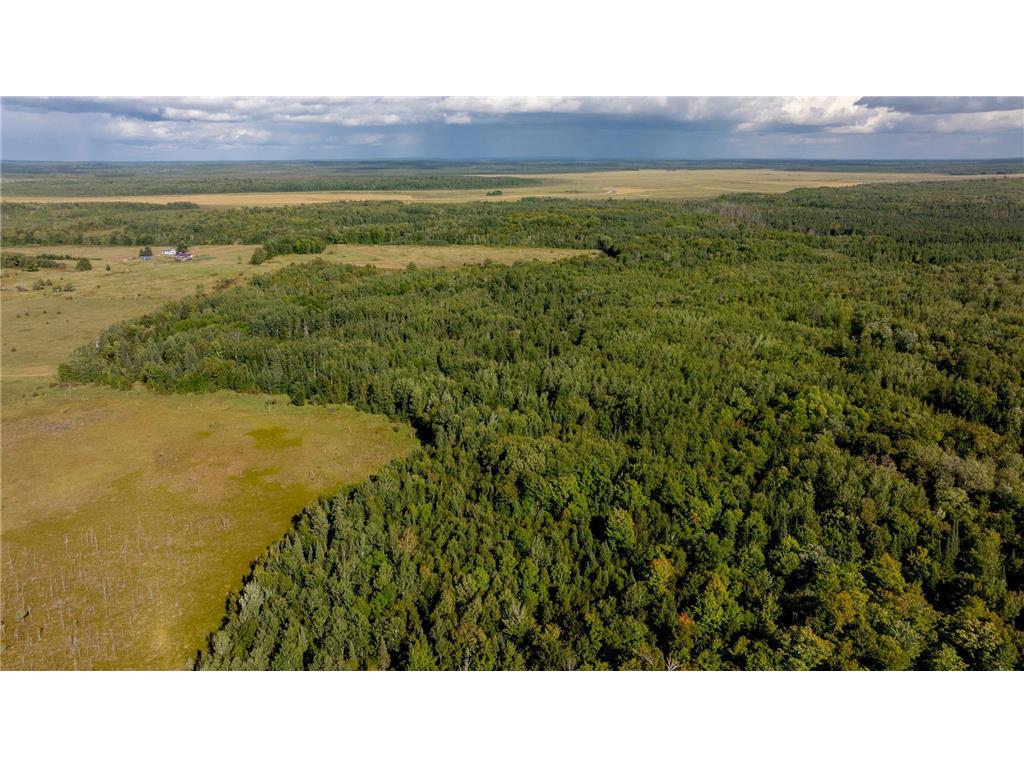 TBD Boy Lake Drive NE Remer MN 56672 6774855 image1