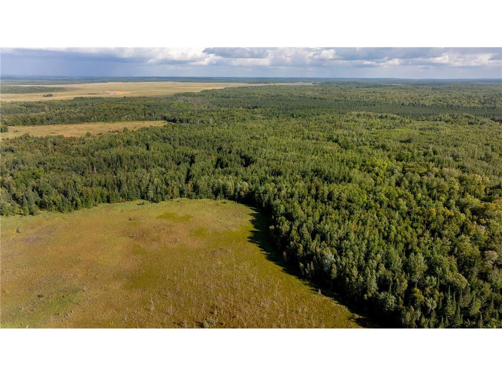 TBD Boy Lake Drive NE Remer MN 56672 6774855 image2