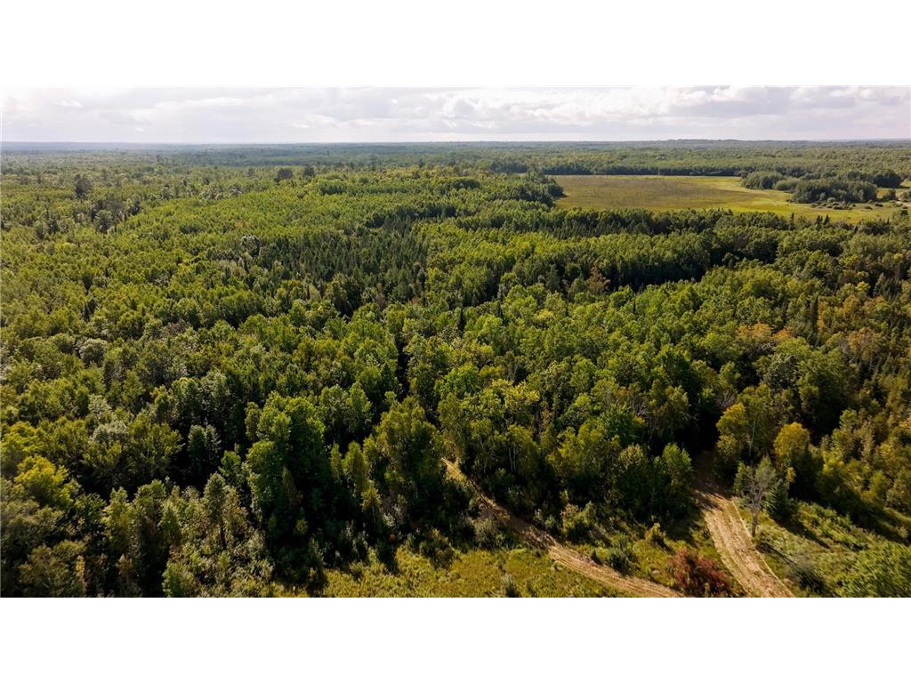 TBD Boy Lake Drive NE Remer MN 56672 6774855 image4