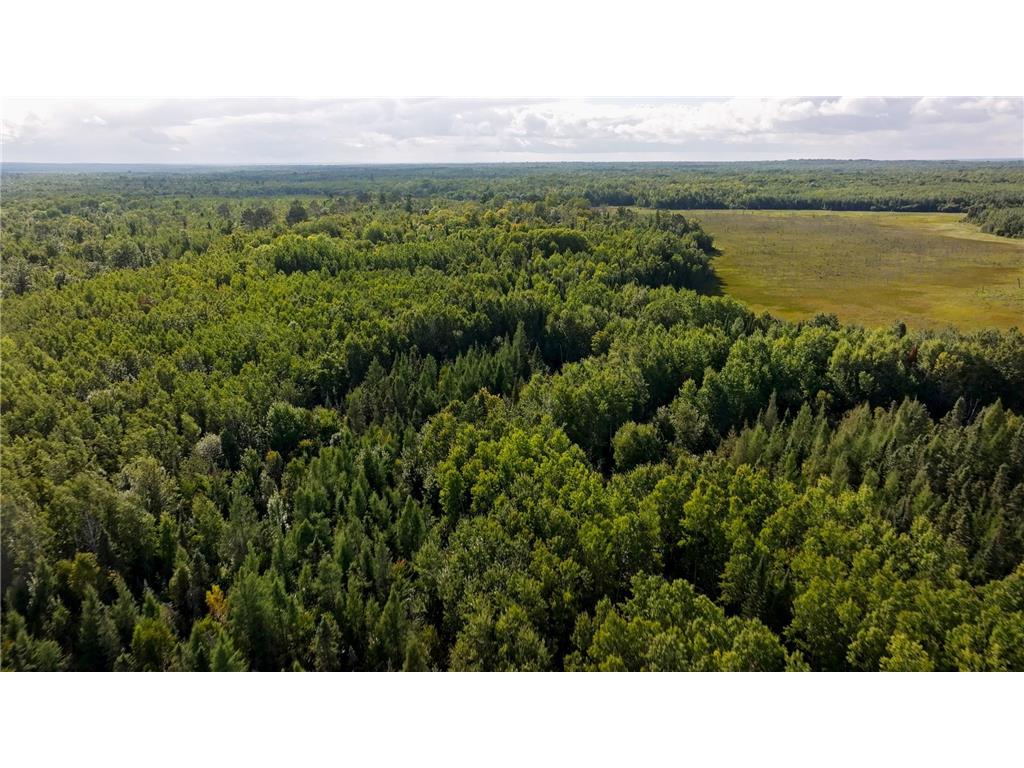 TBD Boy Lake Drive NE Remer MN 56672 6774855 image5