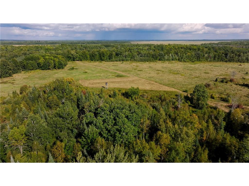 TBD Boy Lake Drive NE Remer MN 56672 6774855 image6