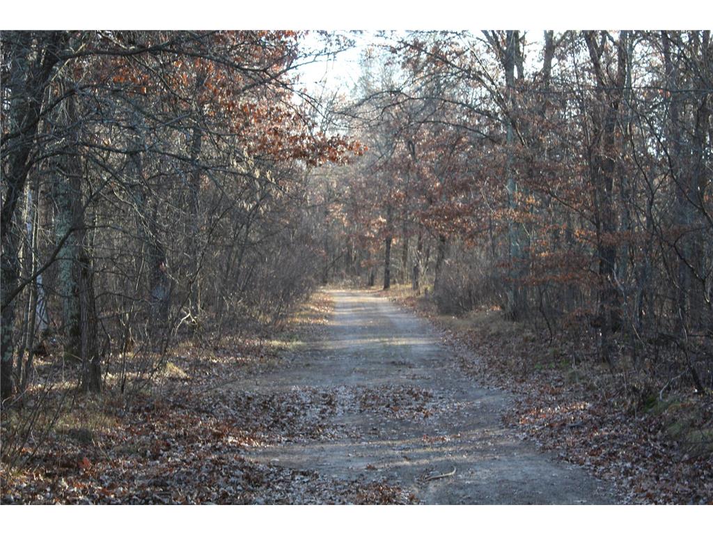 TBD Brandon Way Crow Wing Twp MN 56401 6822430 image8