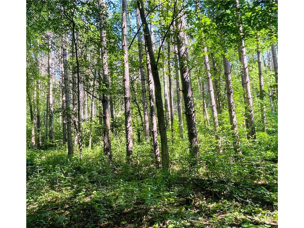 TBD Brown Lane Pepin WI 54759 6752669 image1