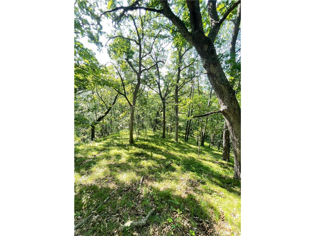 TBD Brown Lane Pepin WI 54759 6752669 image2