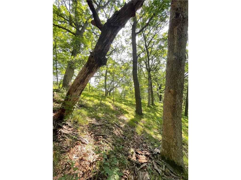 TBD Brown Lane Pepin WI 54759 6752669 image3