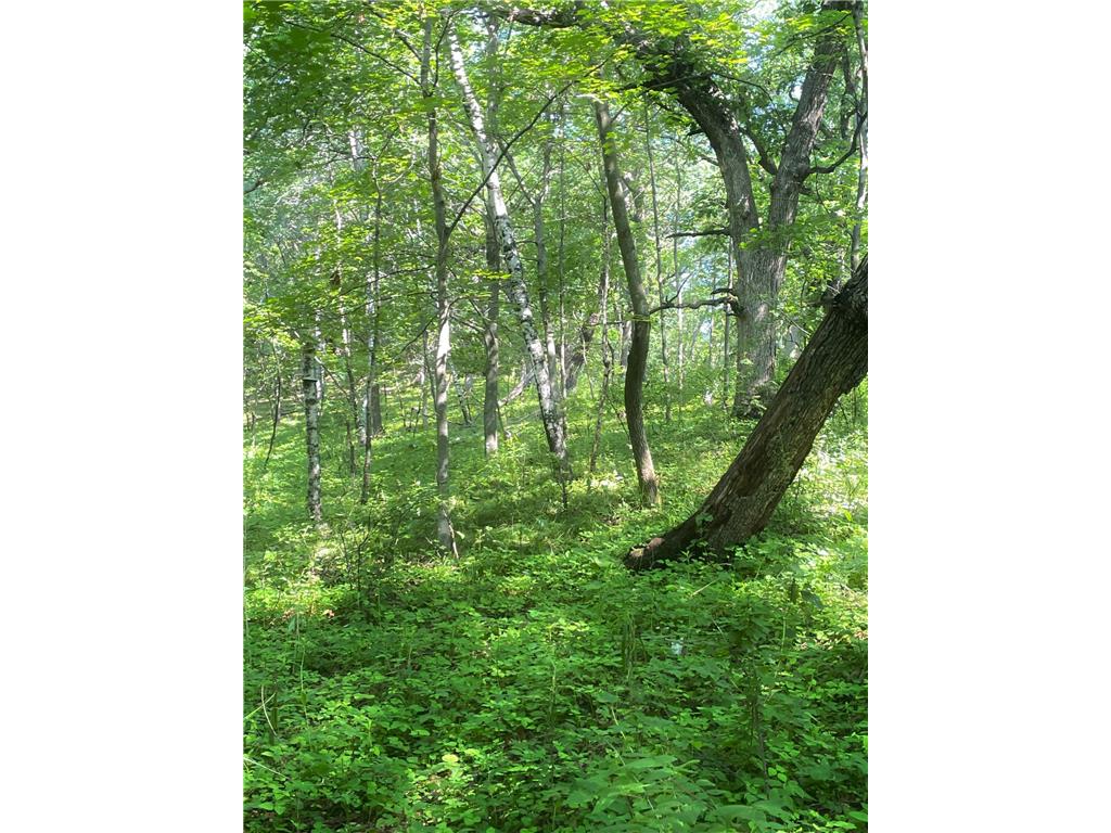 TBD Brown Lane Pepin WI 54759 6752669 image6