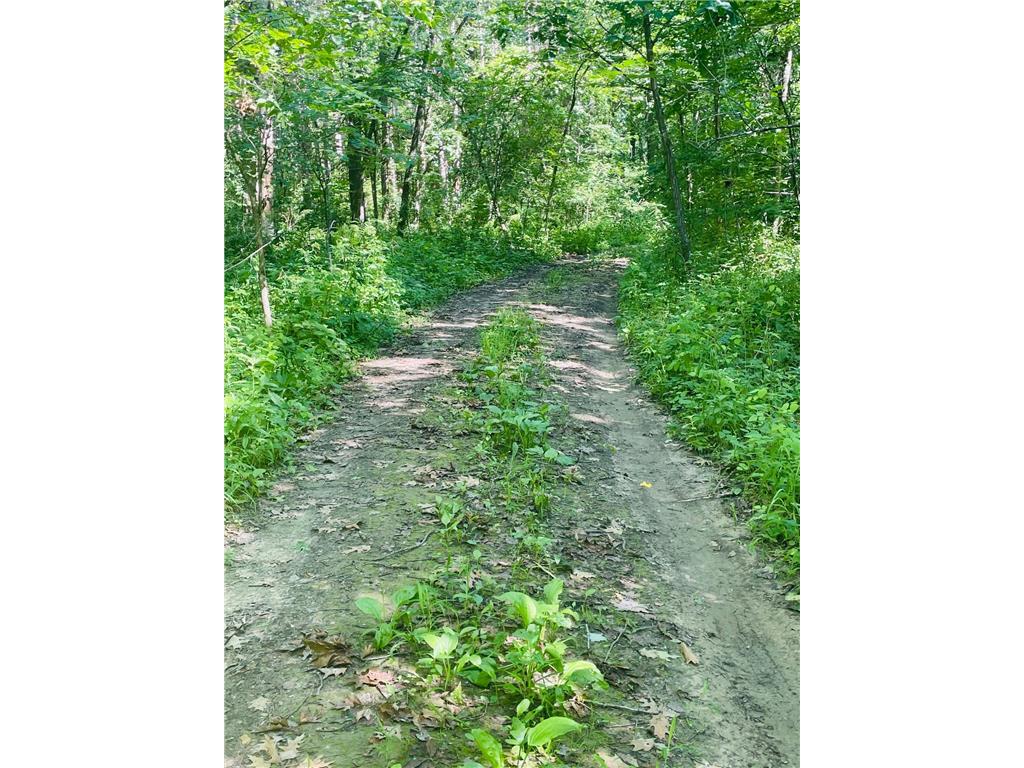 TBD Brown Lane Pepin WI 54759 6752669 image7