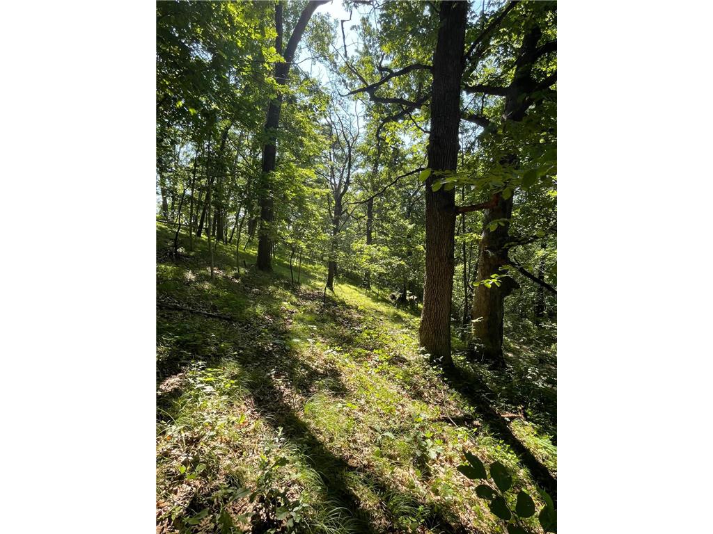 TBD Brown Lane Pepin WI 54759 6752669 image8