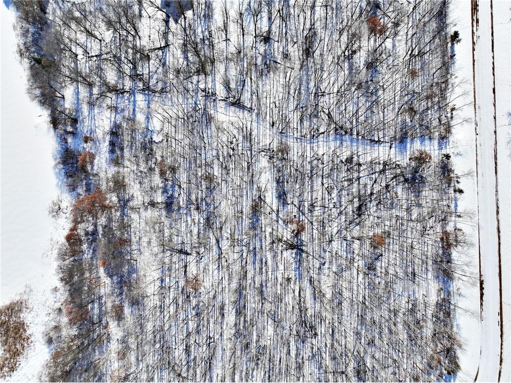 TBD Brush Lake Lane Park Rapids MN 56470 - BRUSH 7018074 image10