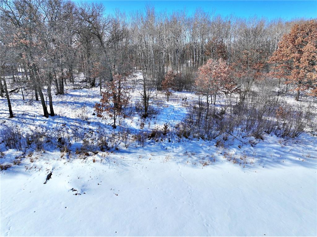 TBD Brush Lake Lane Park Rapids MN 56470 - BRUSH 7018074 image12