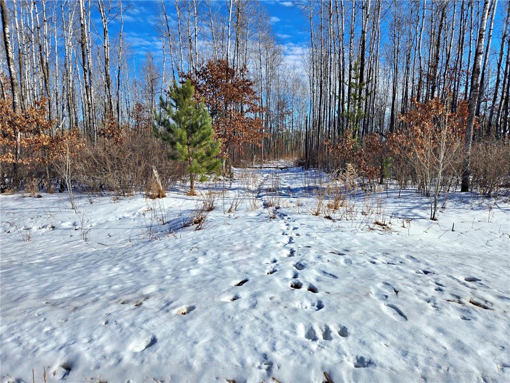 TBD Brush Lake Lane Park Rapids MN 56470 - BRUSH 7018074 image13