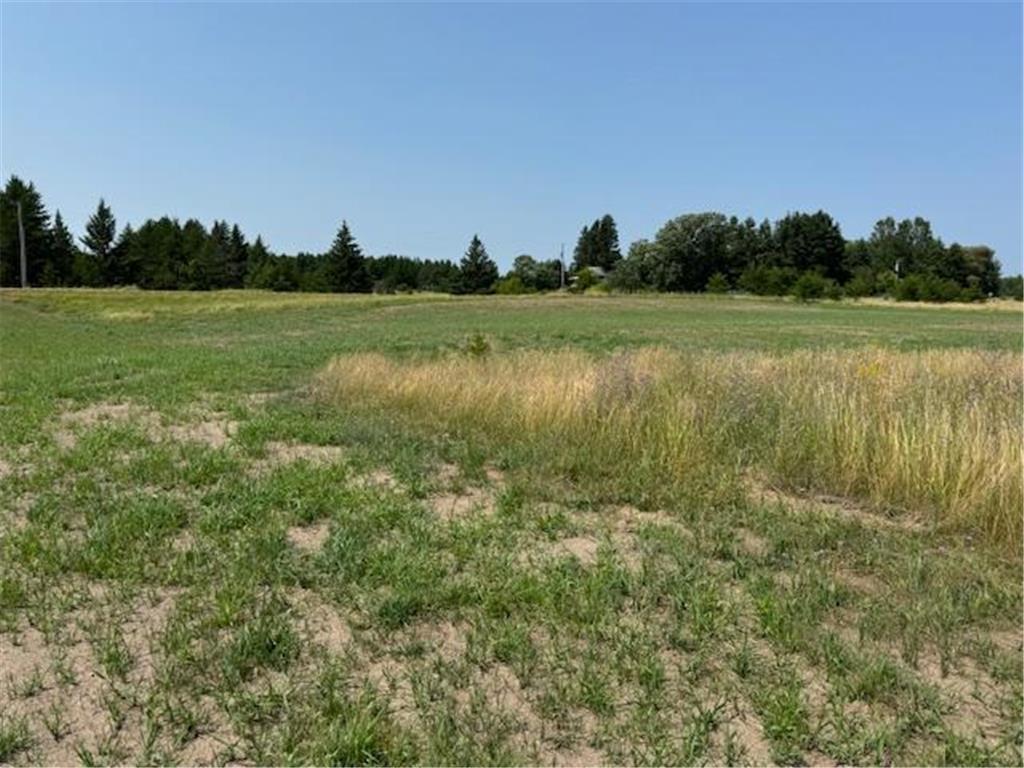 TBD Buchanan Avenue SW Bemidji MN 56601 6681525 image1