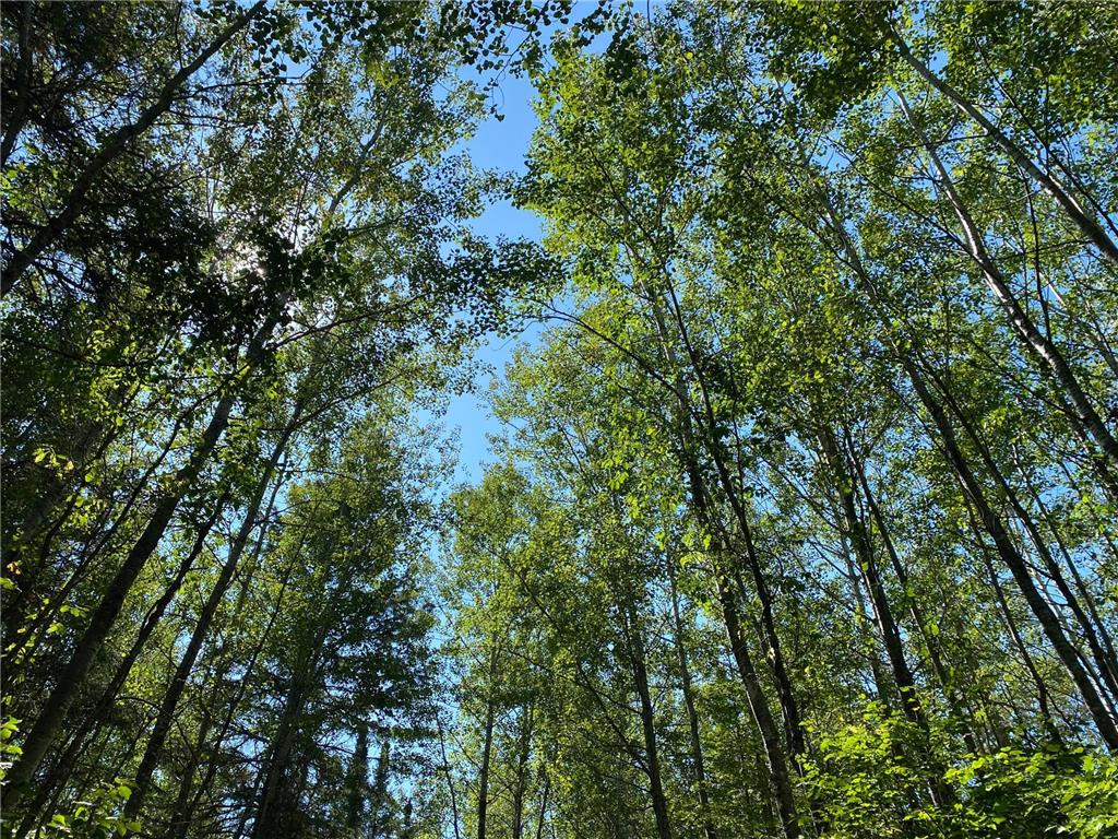 TBD Buck Dr. Bovey MN 55709 - Lawrence Lake 6525284 image12