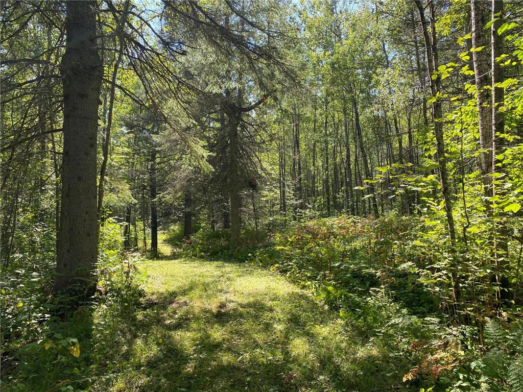 TBD Buck Dr. Bovey MN 55709 - Lawrence Lake 6525284 image13