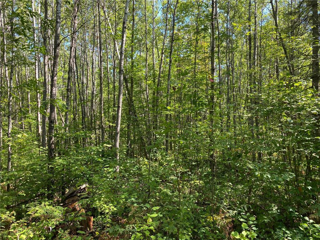 TBD Buck Dr. Bovey MN 55709 - Lawrence Lake 6525284 image15