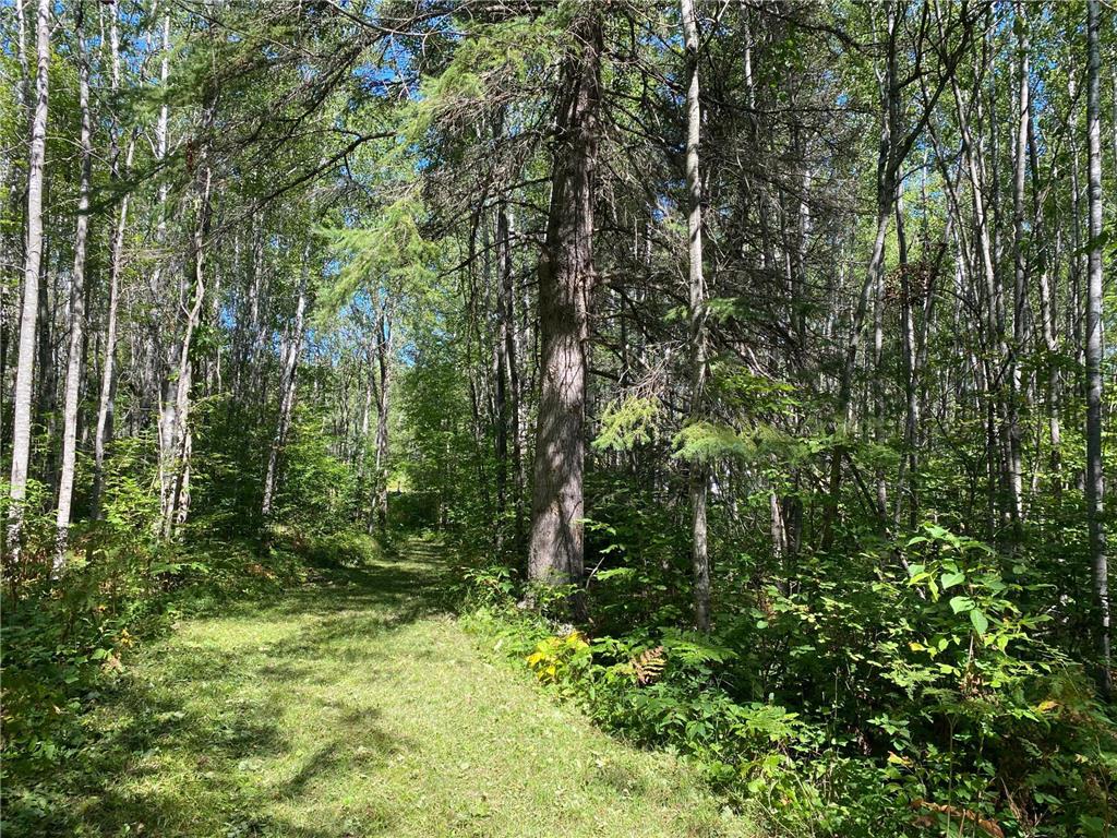 TBD Buck Dr. Bovey MN 55709 - Lawrence Lake 6525284 image16