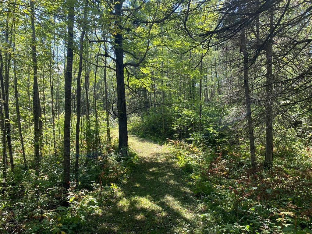 TBD Buck Dr. Bovey MN 55709 - Lawrence Lake 6525284 image17