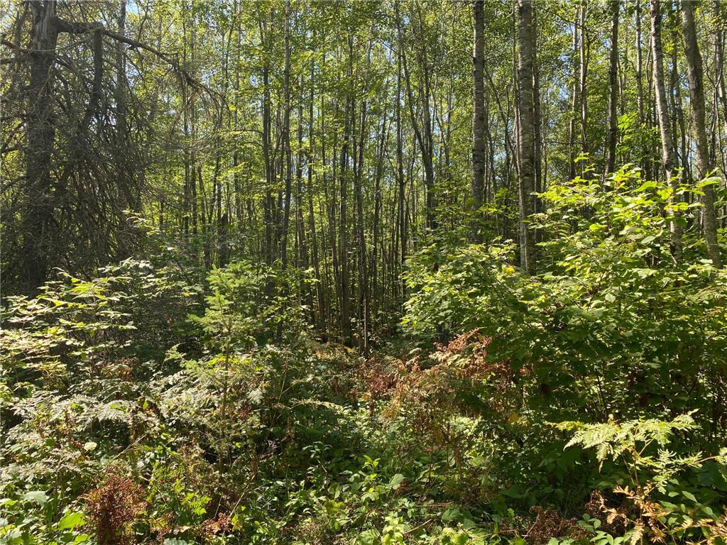 TBD Buck Dr. Bovey MN 55709 - Lawrence Lake 6525284 image21