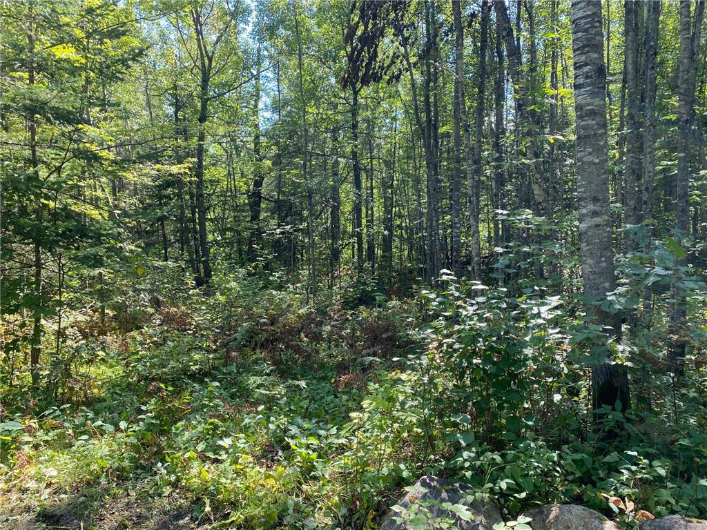 TBD Buck Dr. Bovey MN 55709 - Lawrence Lake 6525284 image22