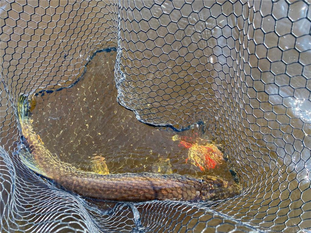 TBD Buck Dr. Bovey MN 55709 - Lawrence Lake 6525284 image29