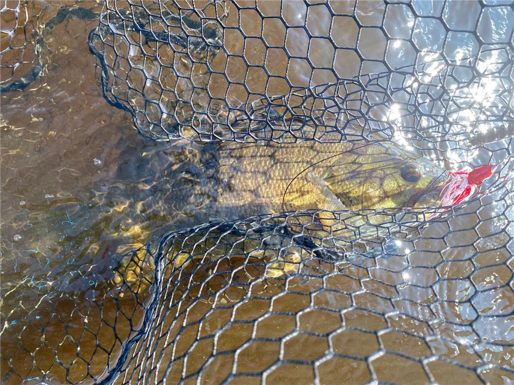 TBD Buck Dr. Bovey MN 55709 - Lawrence Lake 6525284 image30