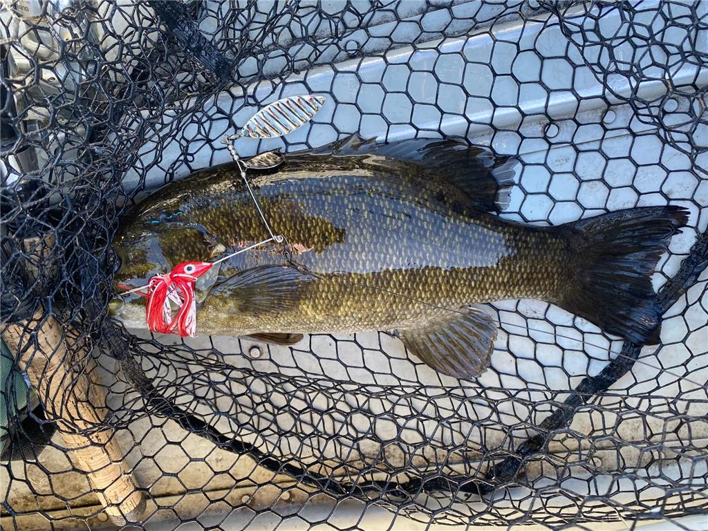 TBD Buck Dr. Bovey MN 55709 - Lawrence Lake 6525284 image31