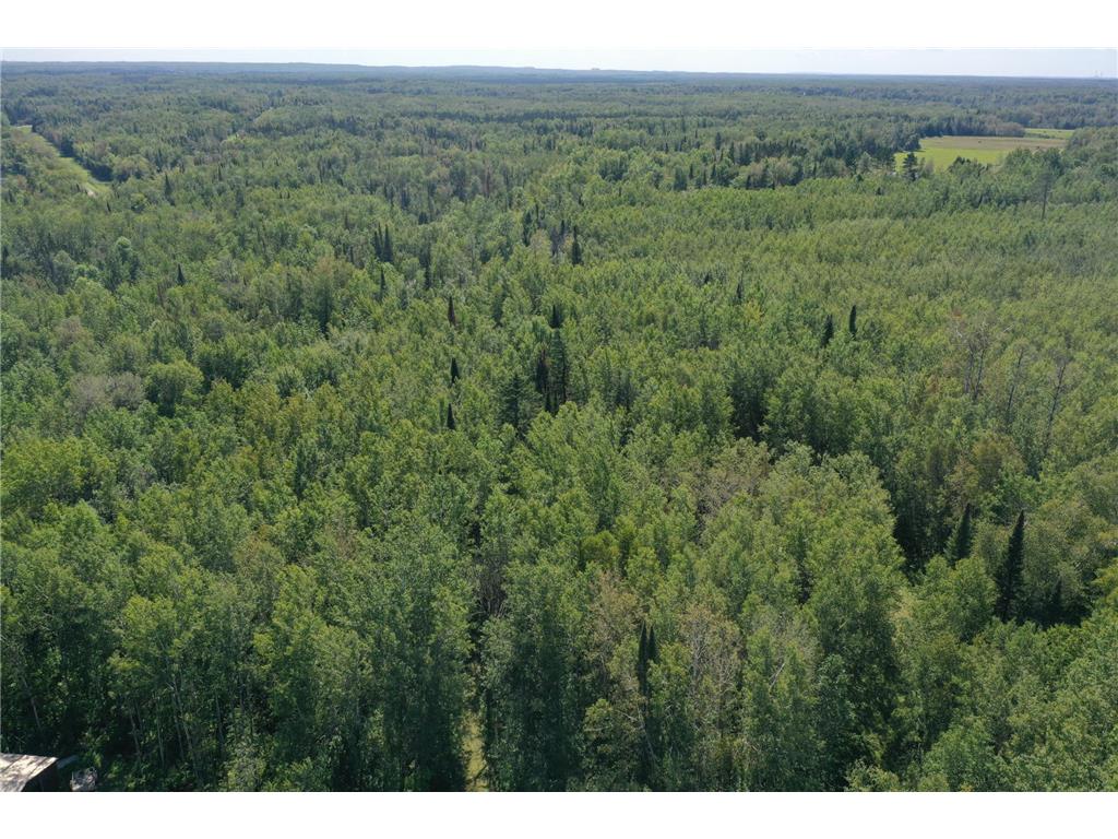 TBD Buck Dr. Bovey MN 55709 - Lawrence Lake 6525284 image6