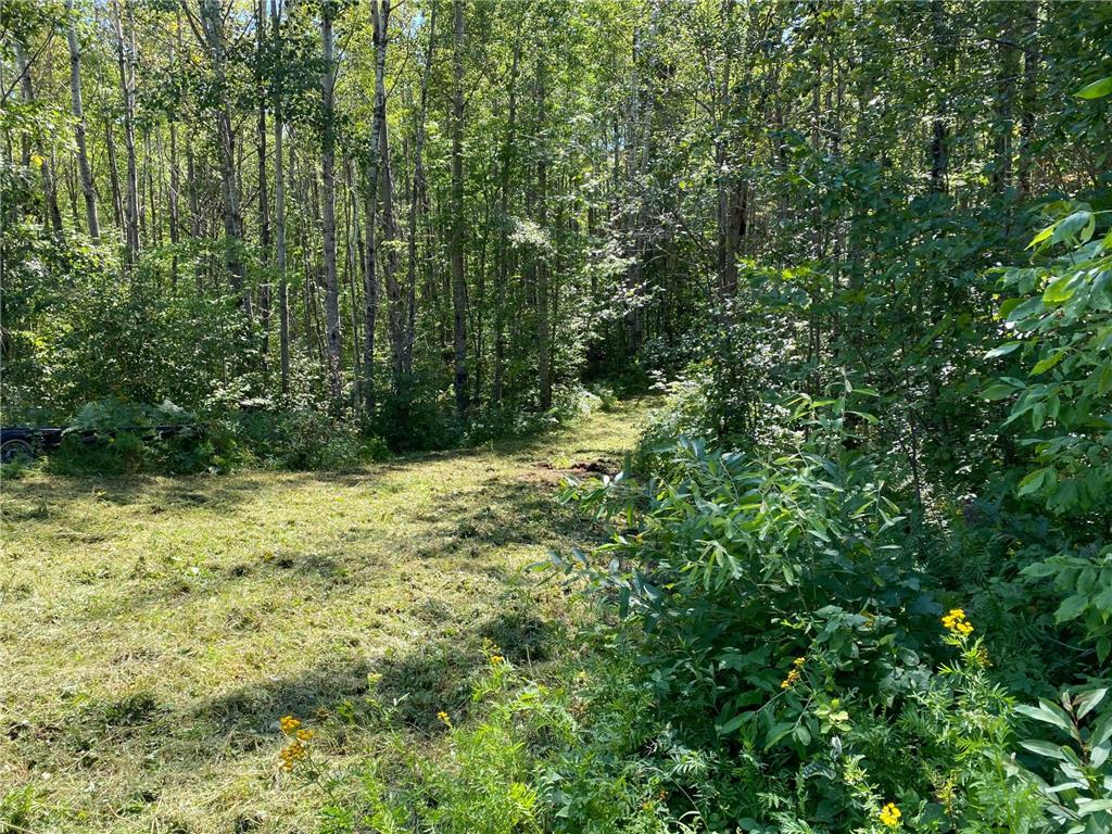 TBD Buck Dr. Bovey MN 55709 - Lawrence Lake 6525284 image8