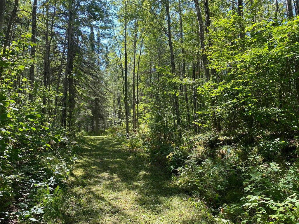 TBD Buck Dr. Bovey MN 55709 - Lawrence Lake 7063208 image10