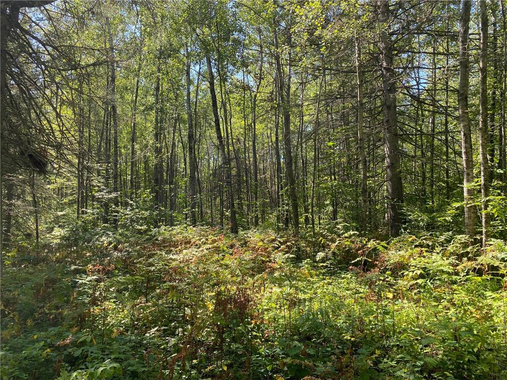 TBD Buck Dr. Bovey MN 55709 - Lawrence Lake 7063208 image13