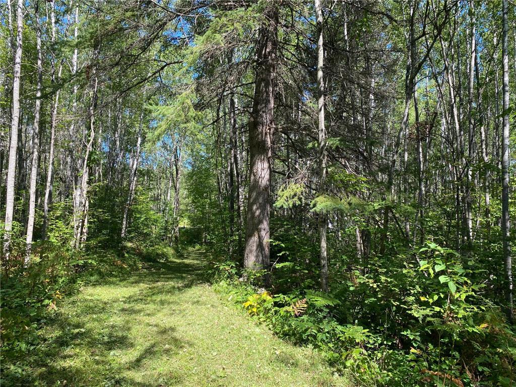 TBD Buck Dr. Bovey MN 55709 - Lawrence Lake 7063208 image15