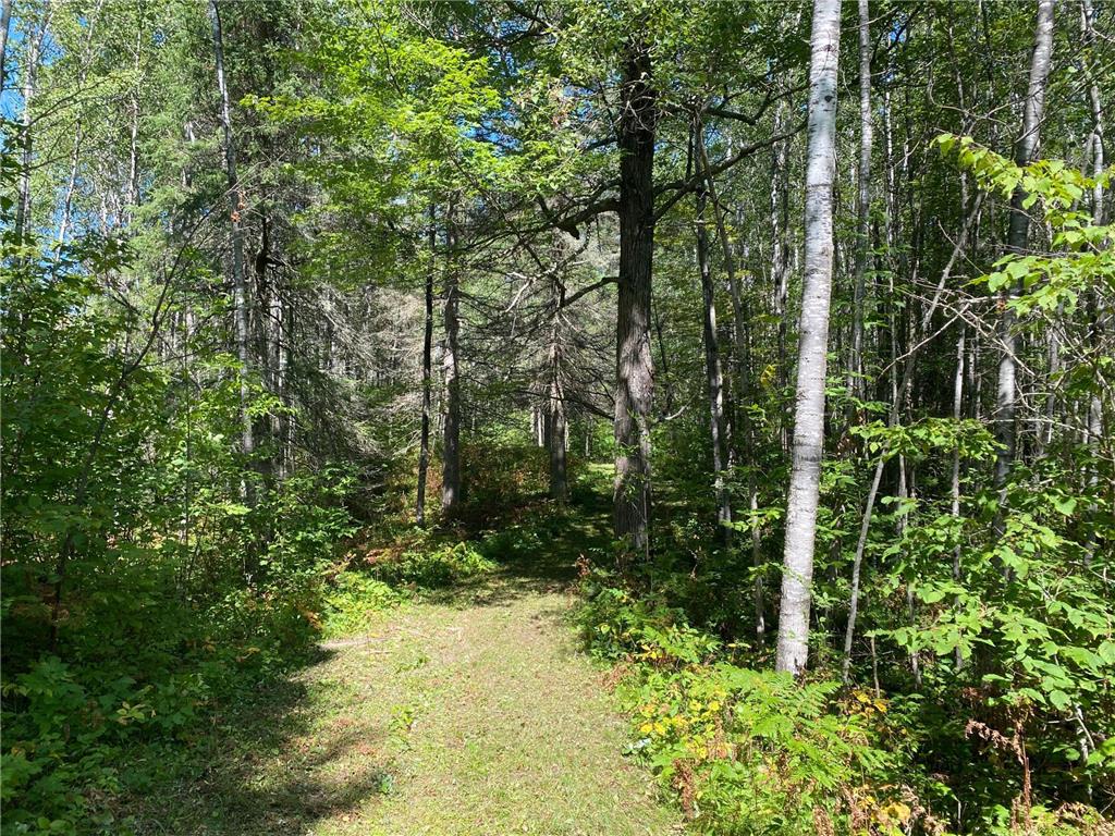 TBD Buck Dr. Bovey MN 55709 - Lawrence Lake 7063208 image18