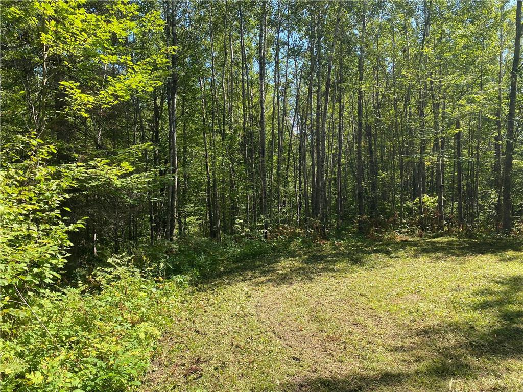 TBD Buck Dr. Bovey MN 55709 - Lawrence Lake 7063208 image19