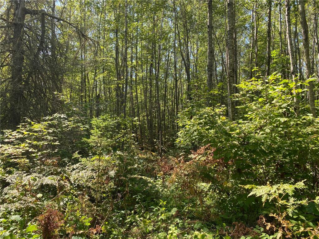 TBD Buck Dr. Bovey MN 55709 - Lawrence Lake 7063208 image20