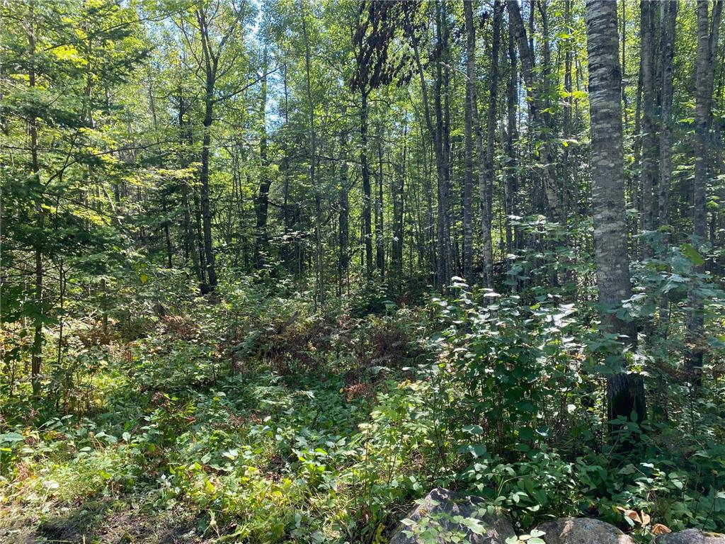 TBD Buck Dr. Bovey MN 55709 - Lawrence Lake 7063208 image21