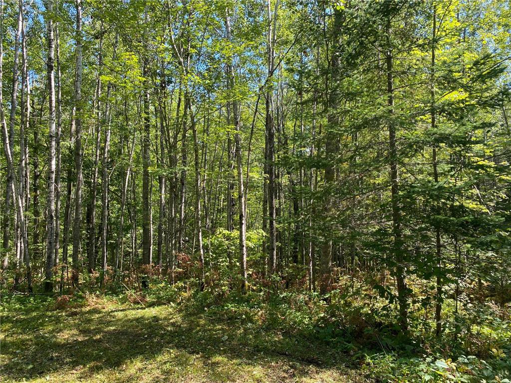 TBD Buck Dr. Bovey MN 55709 - Lawrence Lake 7063208 image22
