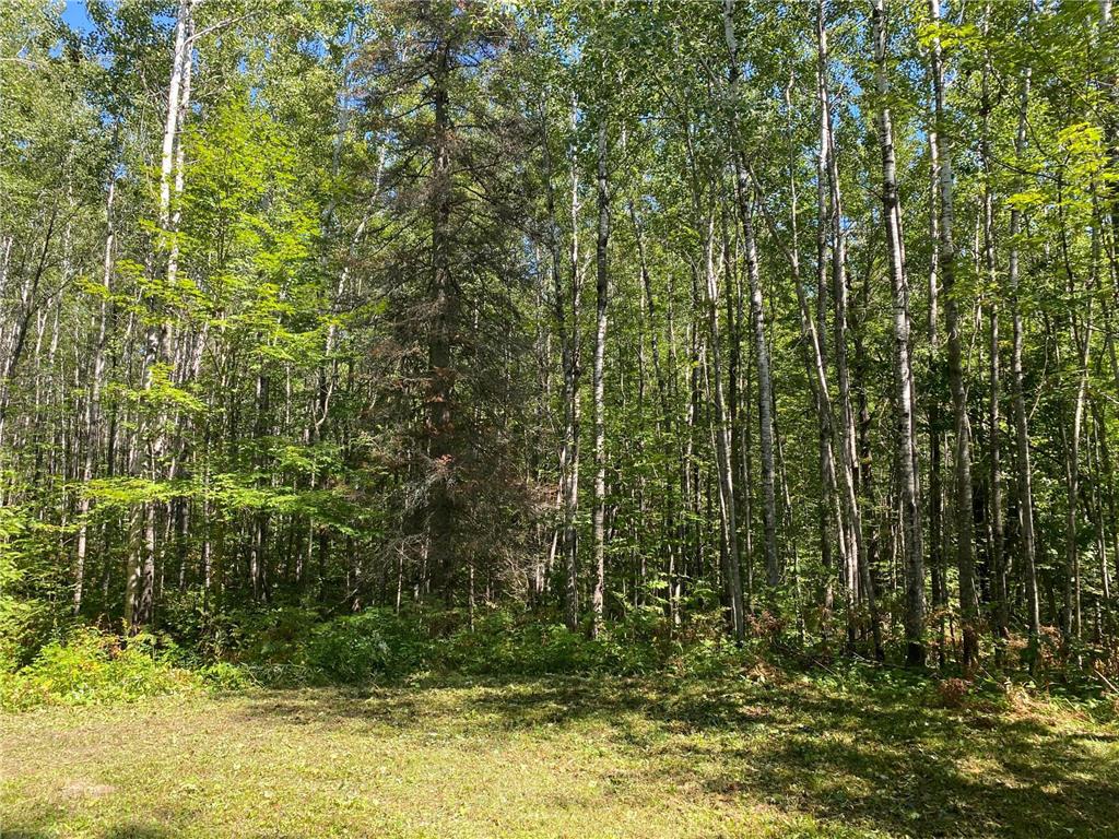 TBD Buck Dr. Bovey MN 55709 - Lawrence Lake 7063208 image23
