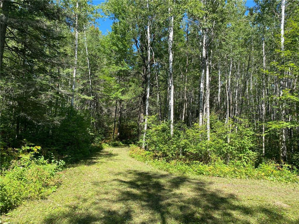 TBD Buck Dr. Bovey MN 55709 - Lawrence Lake 7063208 image24