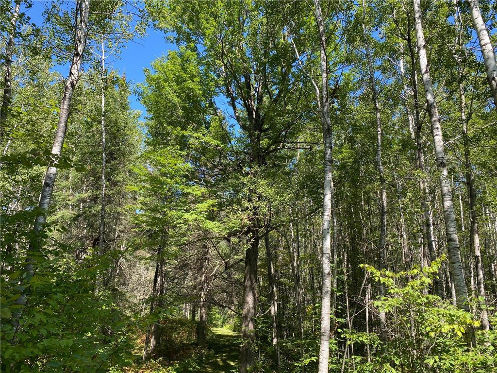 TBD Buck Dr. Bovey MN 55709 - Lawrence Lake 7063208 image25